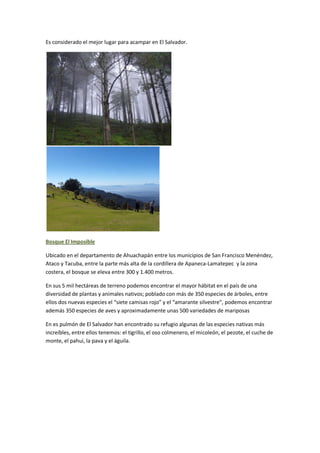 Artículo sobre los bosques salvadoreños conociendo el salvador1