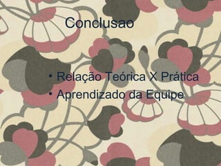 Conclusao
• Relação Teórica X Prática
• Aprendizado da Equipe
 