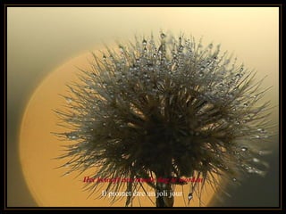 Het belooft een mooie dag te worden Il promet être un joli jour  