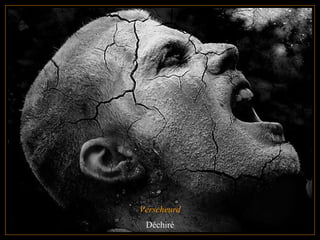 Verscheurd Déchiré 