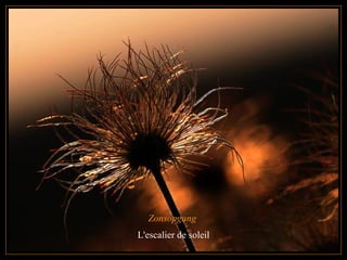 Zonsopgang  L'escalier de soleil 