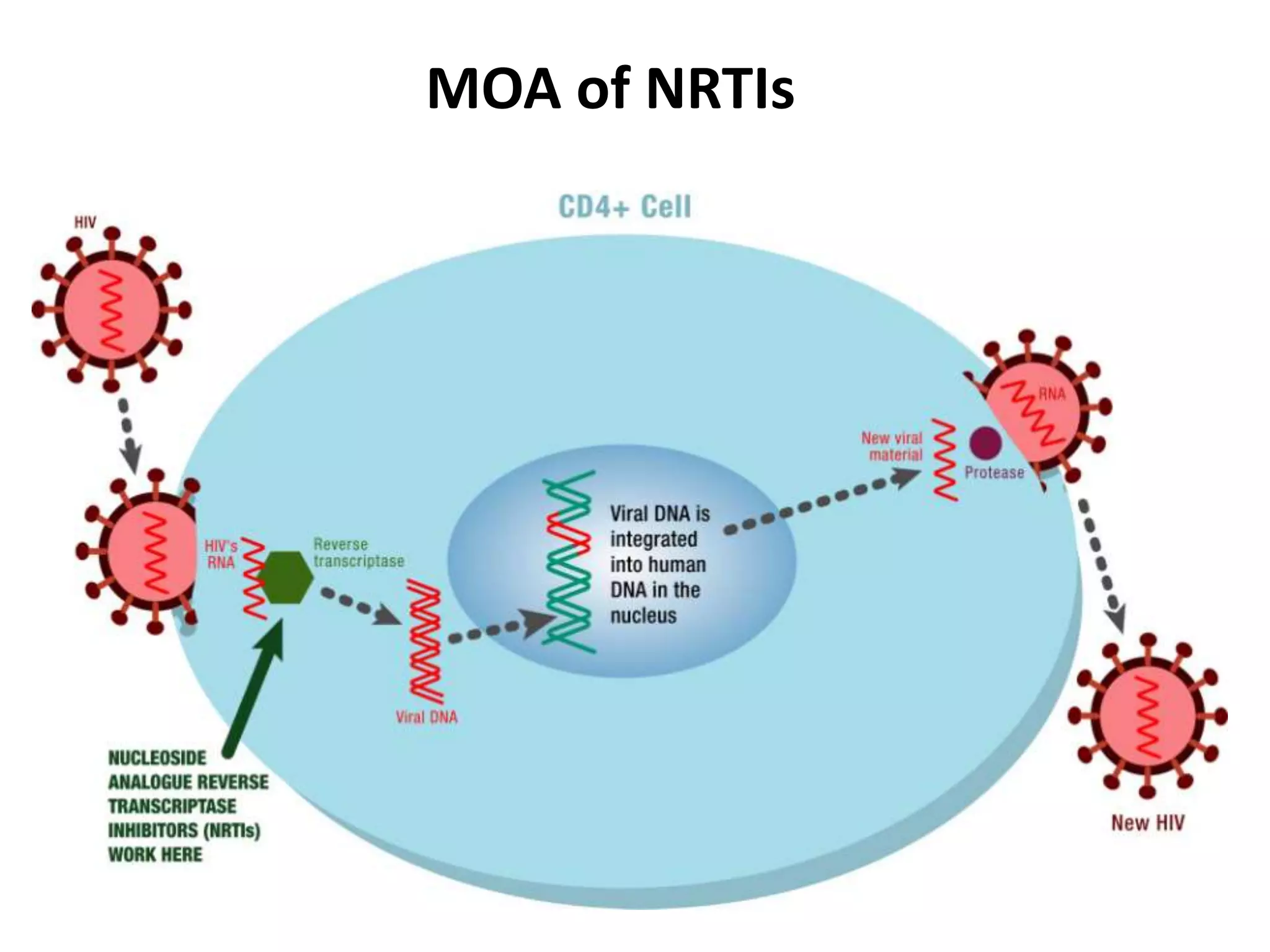 MOA of NRTIs

 