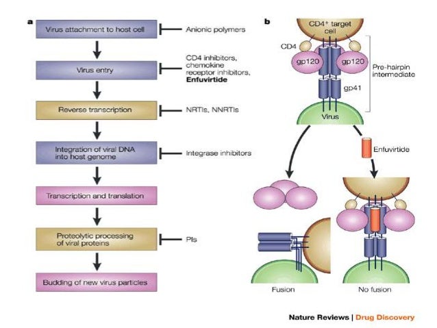 Nevirapine Hiv
