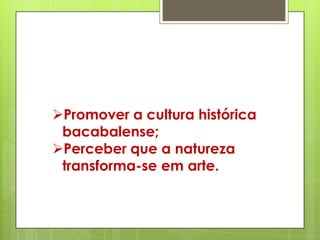 Promover a cultura histórica
 bacabalense;
Perceber que a natureza
 transforma-se em arte.
 