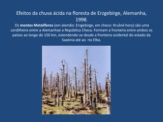 Efeitos da chuva ácida na floresta de Erzgebirge, Alemanha,
1998.
Os montes Metalíferos (em alemão: Erzgebirge, em checo: Krušné hory) são uma
cordilheira entre a Alemanhae a República Checa. Formam a fronteira entre ambos os
países ao longo de 150 km, estendendo-se desde a fronteira ocidental do estado da
Saxónia até ao rio Elba.
 
