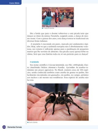 210
Ensino Médio
Elementos Formais
A dança da tarantela.<
Diz a lenda que para o doente sobreviver a esta picada teria que
dançar ao ritmo da música Tarantela, surgindo assim, a dança de mes-
mo nome. Com o passar dos anos, essa dança tornou-se tradicional em
diversas festas italianas.
A tarantela é executada em pares, marcada por andamentos rápi-
dos. Hoje, sabe-se que a tarântula européia não é absolutamente vene-
nosa, seu veneno é suficiente apenas para a paralisação de pequenos
insetos que lhe servirão de alimento. Sua picada causa apenas febre na
vítima. Será que essa história toda era só um pretexto para se dançar?
A tarântula
Seu nome científico é Lycosa tarantula, seu Filo: Arthropoda, Clas-
se: Arachnida, Ordem: Araneae e Família: Lycosidae. As aranhas ta-
rântulas são pouco agressivas. No Brasil, existem cerca de 100 espé-
cies, sendo conhecida também como aranha de grama ou jardim. São
facilmente encontradas em gramados, em jardins, no campo, próximo
aos riachos e até mesmo nas residências. Essa espécie de aranha não
faz teia.
Aranha Tarântula.<
 