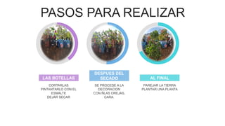 PASOS PARA REALIZAR
LAS BOTELLAS
DESPUES DEL
SECADO AL FINAL
CORTARLAS
PINTANTARLO CON EL
ESMALTE
DEJAR SECAR
SE PROCEDE A LA
DECORACION
CON ÑLAS OREJAS,
CARA.
PAREJAR LA TIERRA
PLANTAR UNA PLANTA
 