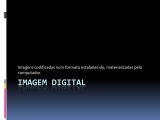 Imagens codificadas num formato estabelecido, materializadas pelo
computador.

IMAGEM DIGITAL
 