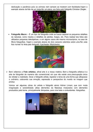 dedicação e paciência pois os animais nem sempre se mostram com facilidade.Vejam o
exemplo abaixo da foto de um beija-flor em pleno voo feita pelo fotógrafo Christian Ziegler.
 Fotografia Macro – É um tipo de fotografia onde se busca capturar os pequenos detalhes
da natureza, como insetos e detalhes de plantas, fungos, etc. Para realizar tais fotos são
utilizados pequenas teleobjetivas, e em alguns casos até mesmo microscópios, no caso de
Micro fotografias. Vejam o exemplo abaixo de dois caracois coloridos sobre uma flor, esta
foto incrível foi feita pelo fotógrafo Vyacheslav Mishchenko.
 Bem voltamos a Foto artística, afinal arte é a nossa matéria. Bem a fotografia artística é a
arte de fotografar de maneira não convencional, em que não existe uma preocupação única
de retratar a realidade. Deve o fotógrafo artista, registrar o tema de uma forma que ultrapasse
o ordinário, colocando sua emoção, expressão e perspectiva do mundo na imagem que
produz.
Vamos ver algumas obras do artista e fotógrafo sérvio Adrian Limani, que com muita
imaginação e sensibilidade utiliza elementos da Natureza misturados com elementos
produzidos pelo home, principalmente lâmpadas, para criar bela e contundentes fotografias.
 