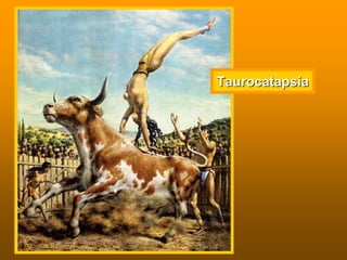 TaurocatapsiaTaurocatapsia
 