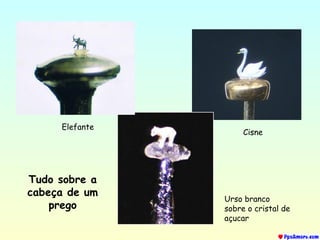 Tudo sobre a
cabeça de um
prego
Elefante
Cisne
Urso branco
sobre o cristal de
açucar
 