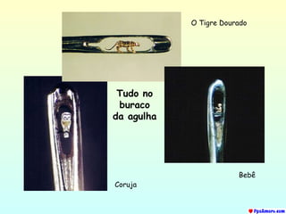 Tudo no buraco da agulha O Tigre Dourado Coruja Bebê 