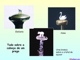 Tudo sobre a cabeça de um prego Elefante Cisne Urso branco sobre o cristal de açucar 
