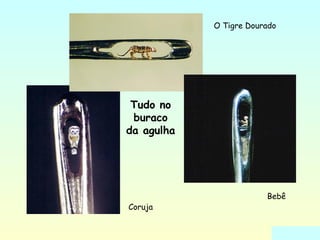 Tudo no 
buraco 
da agulha 
O Tigre Dourado 
Coruja 
Bebê 
 