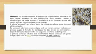 Sambaquis são montes compostos de moluscos (de origem marinha, terrestre ou de
água salobra), esqueletos de seres pré-históricos, ossos humanos, conchas e
utensílios feitos de pedra ou ossos. É resultado de ações humanas, ou seja, são
montes artificiais, com dimensões e formas variadas.
A palavra “sambaquis” tem origem Tupi, e é a mistura das palavras tamba (conchas)
e ki (amontoado).
Os sambaquis são locais muito antigos, onde os homens comiam moluscos em
grandes grupos. O formato dos sambaquis vão dos cônicos aos semi-esféricos.
Dependo da região, são conhecidos por casqueiros, concheiros ou berbigueiros.
O primeiro sambaqui estudado está na Dinamarca. Alguns sambaquis em países
Europeus e no norte da África foram datados como de 4000 a 2000 a.C.
 