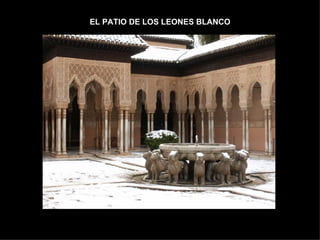 EL PATIO DE LOS LEONES BLANCO 