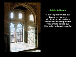 Detalle del Harem el estuco policromado que decora los muros, el alicatado de colores hasta media altura en las paredes y la pantalla calada que filtra la luz, invitan al ensueño 