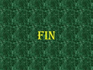 FIN 