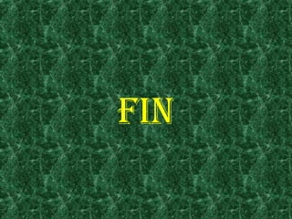 FIN

 