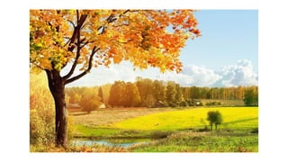 ARTE - UNIDADE 1 TEMA 2            .pptx