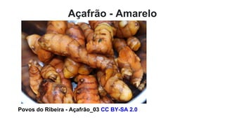 Açafrão - Amarelo
Povos do Ribeira - Açafrão_03 CC BY-SA 2.0
 