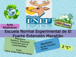 Escuela Normal Experimental de El
Fuerte Extensión Mazatlán
Arte
Abstracto
 