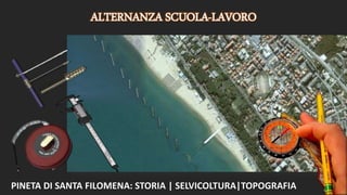 ALTERNANZA SCUOLA-LAVORO
PINETA DI SANTA FILOMENA: STORIA | SELVICOLTURA|TOPOGRAFIA
 
