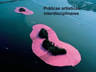 Práticas artísticas
interdisciplinares
 