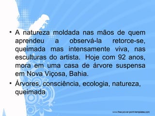 • A natureza moldada nas mãos de quem
aprendeu a observá-la retorce-se,
queimada mas intensamente viva, nas
esculturas do artista. Hoje com 92 anos,
mora em uma casa de árvore suspensa
em Nova Viçosa, Bahia.
• Árvores, consciência, ecologia, natureza,
queimada
 