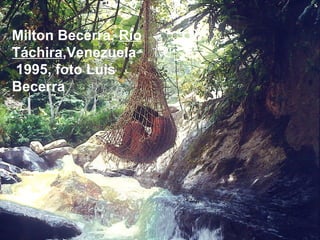 Milton Becerra, Río
Táchira,Venezuela
1995, foto Luis
Becerra
 