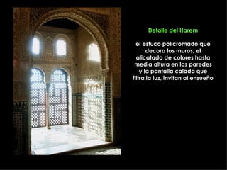 Detalle del Harem

  el estuco policromado que
       decora los muros, el
  alicatado de colores hasta
 media altura en las paredes
    y la pantalla calada que
filtra la luz, invitan al ensueño
 