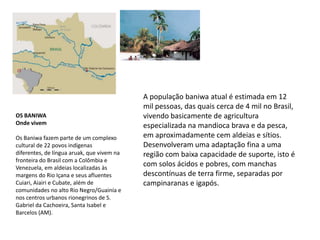 A população baniwa atual é estimada em 12 mil pessoas, das quais cerca de 4 mil no Brasil, vivendo basicamente de agricultura especializada na mandioca brava e da pesca, em aproximadamente cem aldeias e sítios. Desenvolveram uma adaptação fina a uma região com baixa capacidade de suporte, isto é com solos ácidos e pobres, com manchas descontínuas de terra firme, separadas por campinaranas e igapós.OS BANIWAOnde vivemOs Baniwa fazem parte de um complexo cultural de 22 povos indígenas diferentes, de língua aruak, que vivem na fronteira do Brasil com a Colômbia e Venezuela, em aldeias localizadas às margens do Rio Içana e seus afluentes Cuiari, Aiairi e Cubate, além de comunidades no alto Rio Negro/Guainía e nos centros urbanos rionegrinos de S. Gabriel da Cachoeira, Santa Isabel e Barcelos (AM).