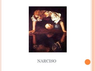 NARCISO 