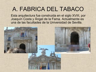 A. FABRICA DEL TABACO
Esta arquitectura fue construida en el siglo XVIII, por
Joaquín Costa y Ángel de la Fama. Actualmente es
una de las facultades de la Universidad de Sevilla.
 