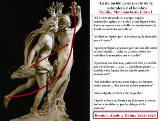 La mutación permanente de la
       naturaleza y el hombre
    Ovidio, Metamorfosis, Libro I
“El viento desnuda su cuerpo; soplos
contrarios agitan el vestido y una ligera brisa
hacía retroceder su cabello en movimiento; la
huida aumentaba su belleza”

“el dios es rápido por la esperanza, la doncella
por el temor”

“quien persigue, ayudado por las alas del amor
es más rápido … echa su aliento sobre los
cabellos derramados por el cuello”

“agotadas sus fuerzas, palideció ella y vencida
por el esfuerzo … dijo … ¡Ayúdame padre …
cambia esta figura con la que he gustado
demasiado!”

“los cabellos crecen como hojas, los brazos
como ramas … los pies en raíces perezosas”

“una delgada corteza ciñe su pecho”

“Apolo coloca su diestra en el tronco y siente
todavía temblar su pecho debajo de la
corteza”

Bernini, Apolo y Dafne, 1622-1625
 