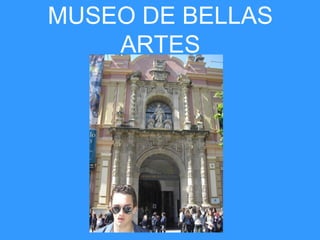 MUSEO DE BELLAS
    ARTES
 