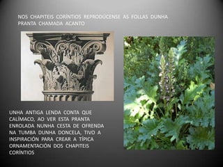 NOS CHAPITEIS CORÍNTIOS REPRODÚCENSE AS FOLLAS DUNHA
  PRANTA CHAMADA ACANTO




UNHA ANTIGA LENDA CONTA QUE
CALÍMACO, AO VER ESTA PRANTA
ENROLADA NUNHA CESTA DE OFRENDA
NA TUMBA DUNHA DONCELA, TIVO A
INSPIRACIÓN PARA CREAR A TÍPICA
ORNAMENTACIÓN DOS CHAPITEIS
CORÍNTIOS
 