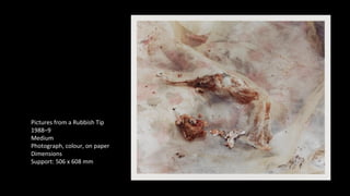 Pictures from a Rubbish Tip 
1988–9 
Medium 
Photograph, colour, on paper 
Dimensions 
Support: 506 x 608 mm 
 