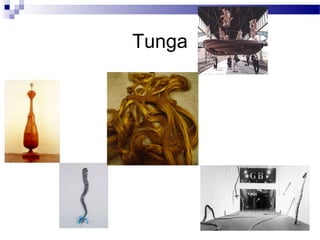 Tunga
 