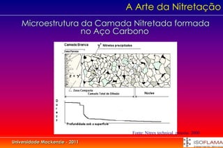 A Arte da Nitretação
    Microestrutura da Camada Nitretada formada
                   no Aço Carbono




                                 Fonte: Nitrex technical process. 2000

Universidade Mackenzie - 2011
 