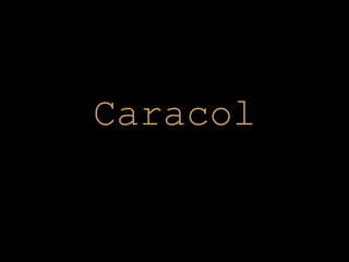 Caracol 