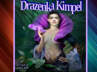 PURPLE ORCHID Drazenka Kimpel 