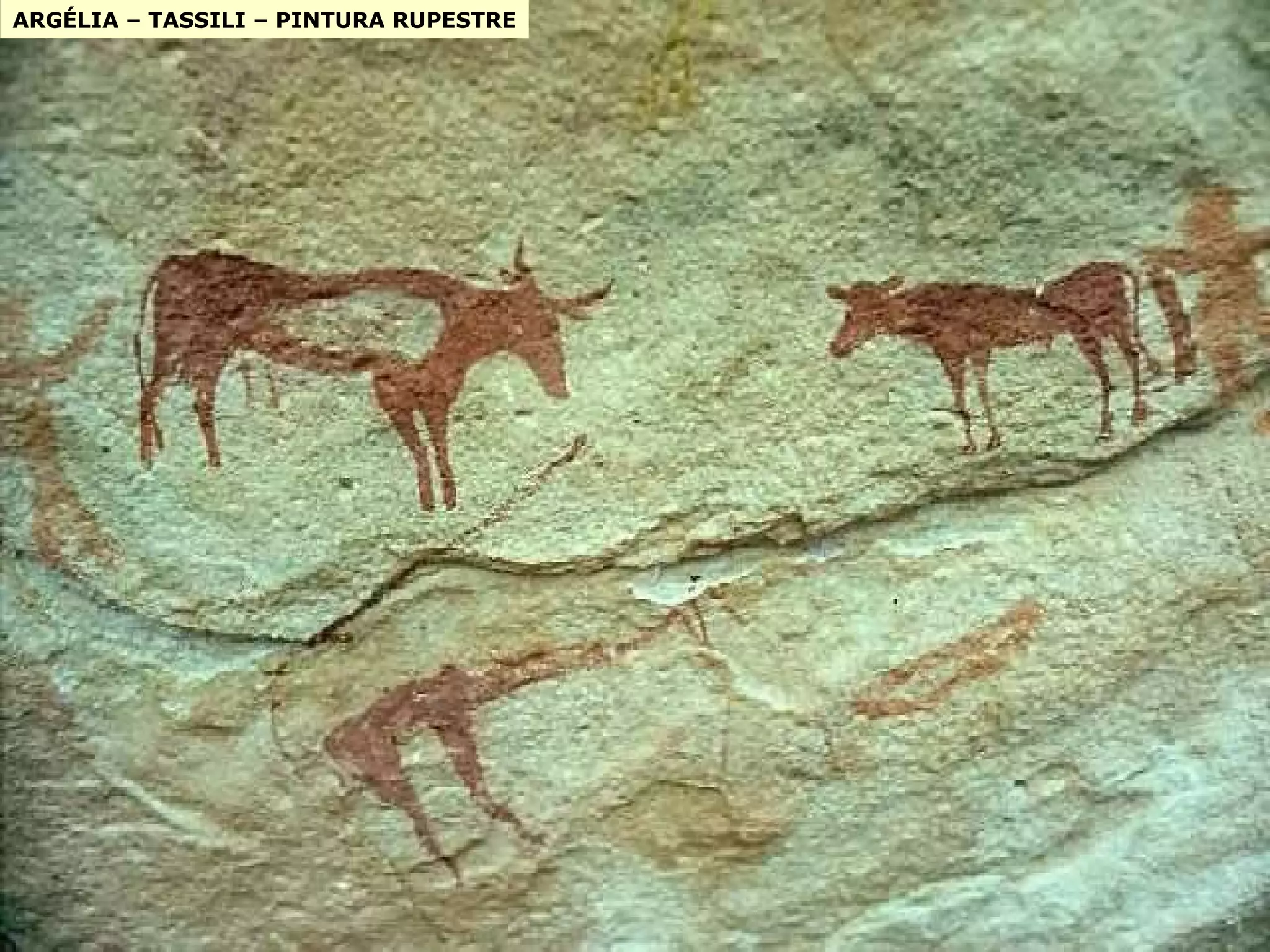 ARGÉLIA – TASSILI – PINTURA RUPESTRE 