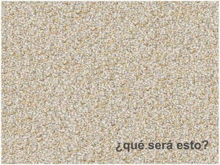 ¿qué será esto? 