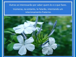 Outras se interessarão por saber quem és e o que fazes.
Inúmeras, no entanto, te falarão, intentando um
relacionamento fraterno.
 