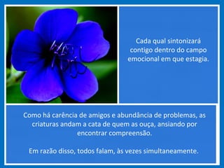 Cada qual sintonizará
contigo dentro do campo
emocional em que estagia.
Como há carência de amigos e abundância de problemas, as
criaturas andam a cata de quem as ouça, ansiando por
encontrar compreensão.
Em razão disso, todos falam, às vezes simultaneamente.
 