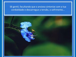 Sê gentil, facultando que o ansioso sintonize com a tua
cordialidade e descarregue a tensão, o sofrimento...
 