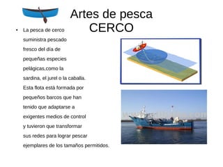 Artes de pesca 
CERCO ● La pesca de cerco 
suministra pescado 
fresco del día de 
pequeñas especies 
pelágicas,como la 
sardina, el jurel o la caballa. 
Esta flota está formada por 
pequeños barcos que han 
tenido que adaptarse a 
exigentes medios de control 
y tuvieron que transformar 
sus redes para lograr pescar 
ejemplares de los tamaños permitidos. 
 