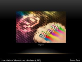 Imagem 6

Universidade de Trás-os-Montes e Alto Douro (UTAD)

Carlos Costa

 