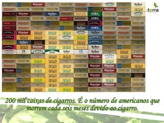 200 mil caixas de cigarros. É o número de americanos que
        morrem cada seis meses devido ao cigarro.
 